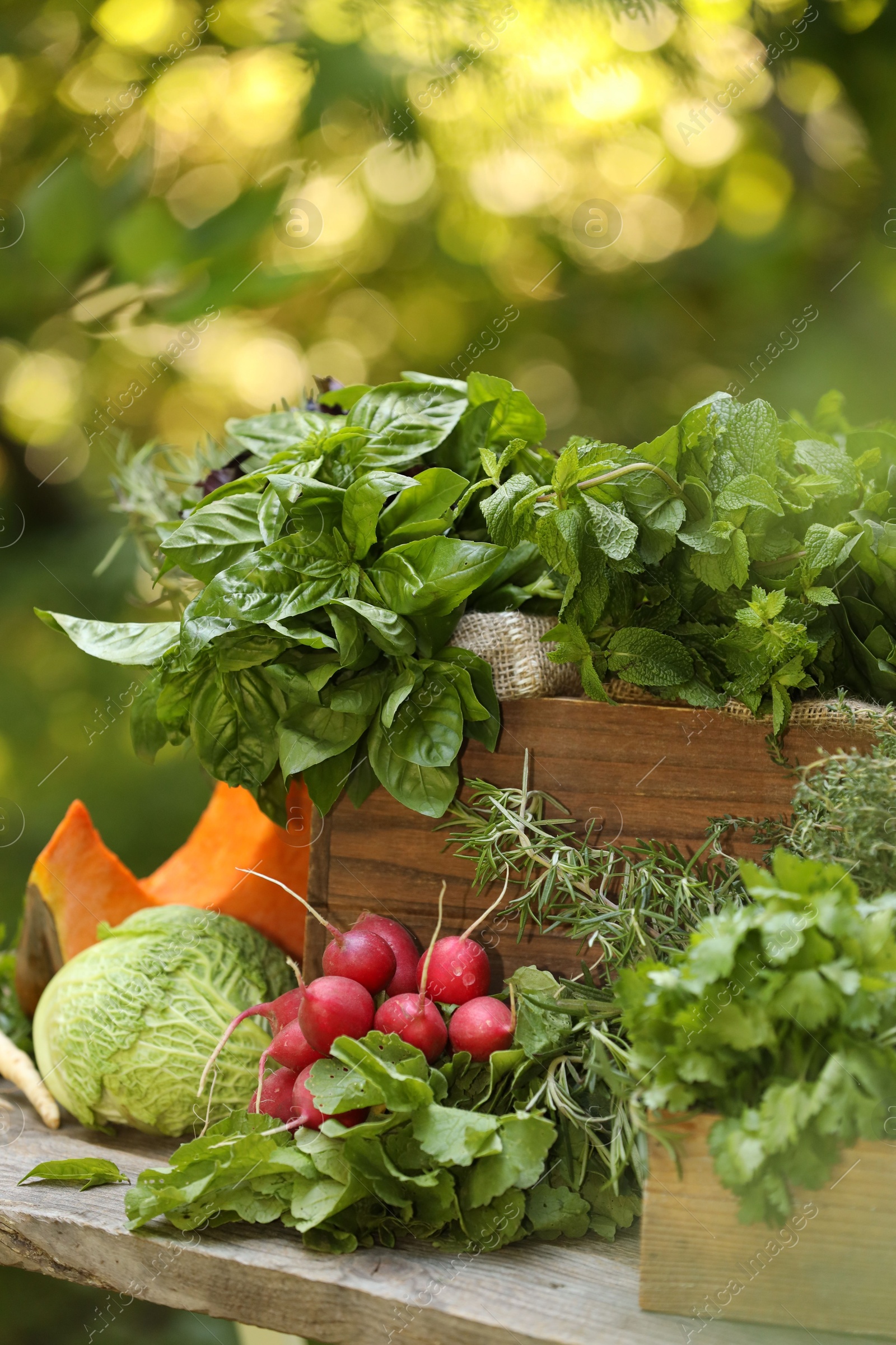 Photo of Different fresh herbs and vegetables on wooden table outdoors