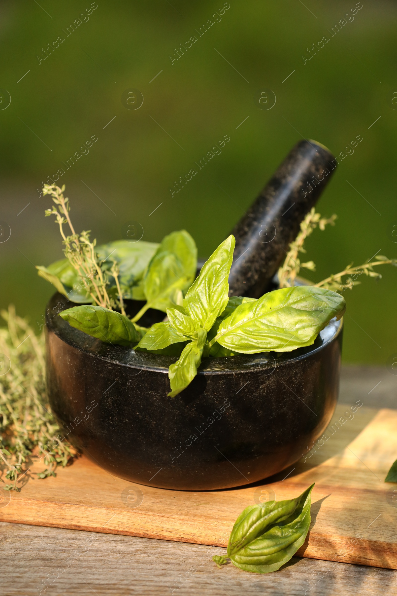 Photo of Fresh herbs. Basil leaves in mortar on wooden table outdoors, closeup