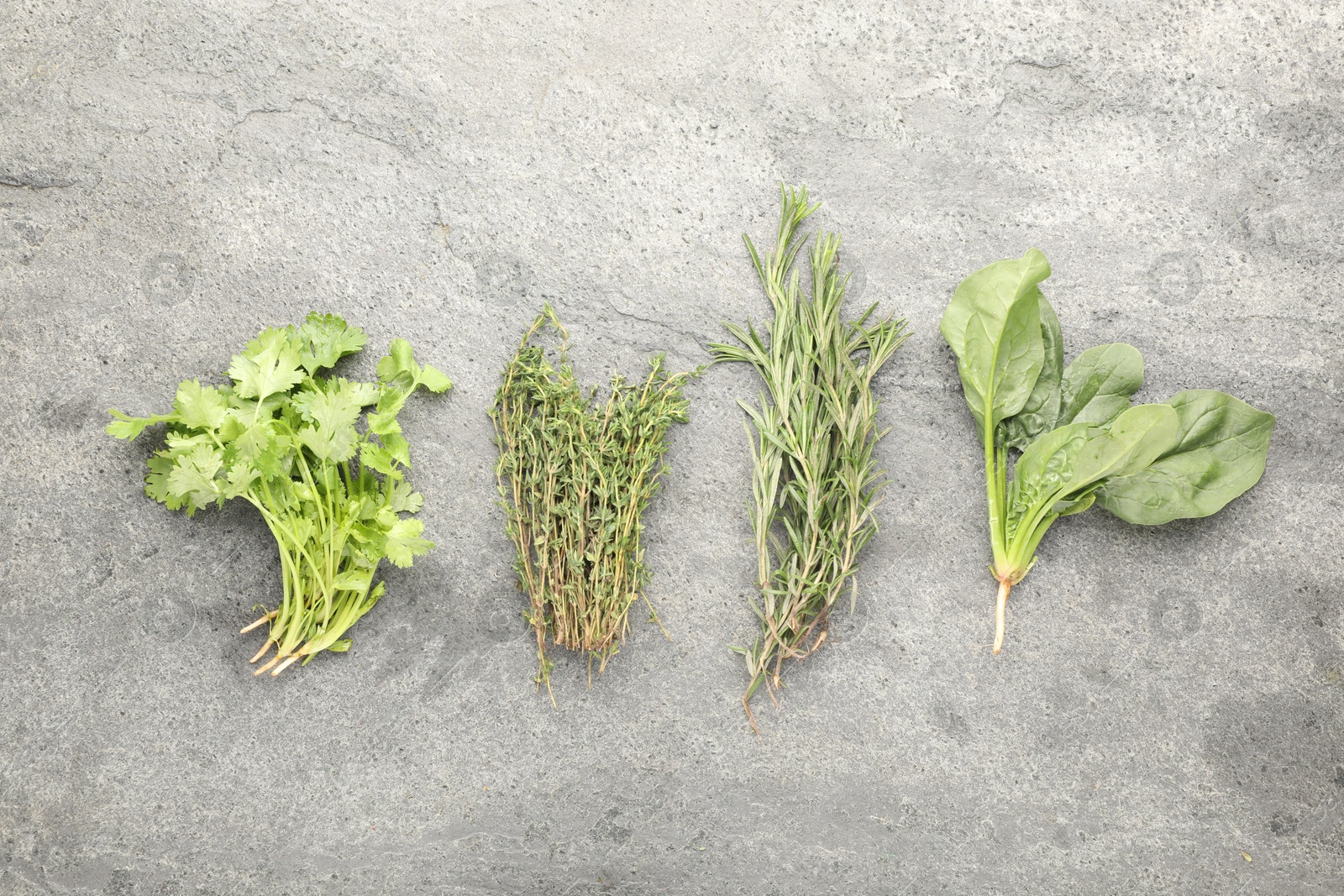 Photo of Different fresh herbs on grey textured table, flat lay