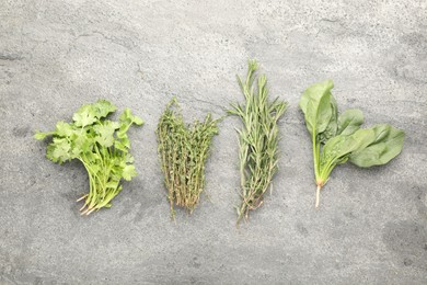 Photo of Different fresh herbs on grey textured table, flat lay