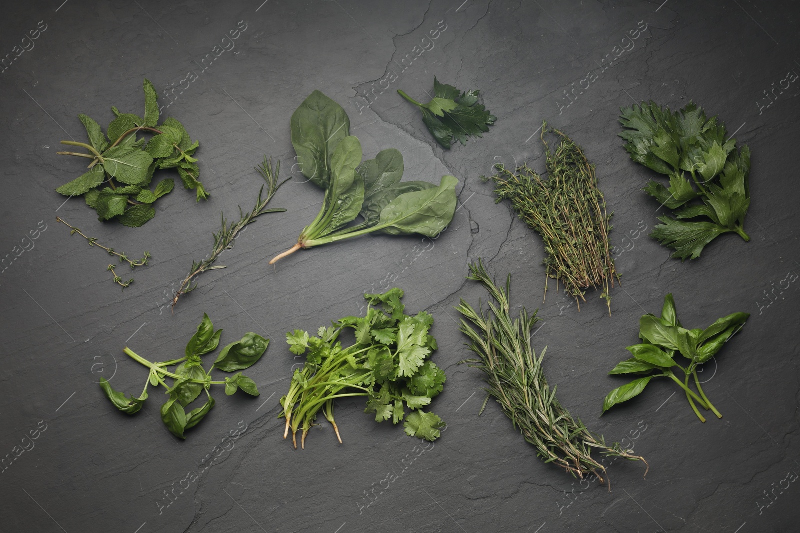 Photo of Different fresh herbs on grey textured table, flat lay