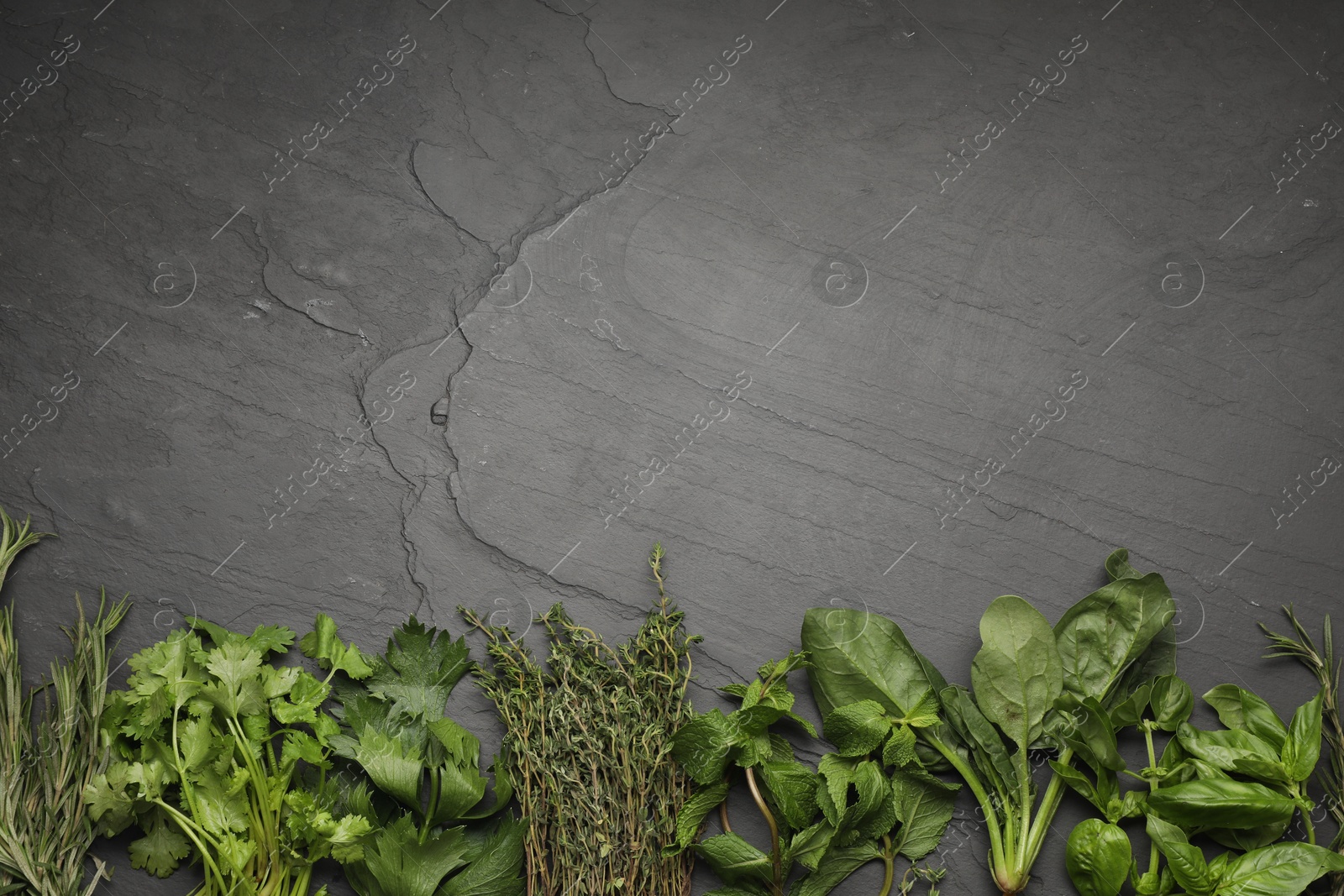 Photo of Different fresh herbs on grey textured table, flat lay. Space for text