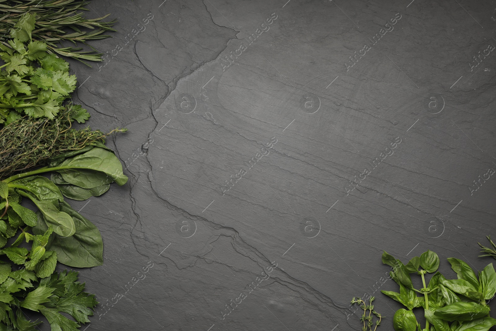 Photo of Different fresh herbs on grey textured table, flat lay. Space for text