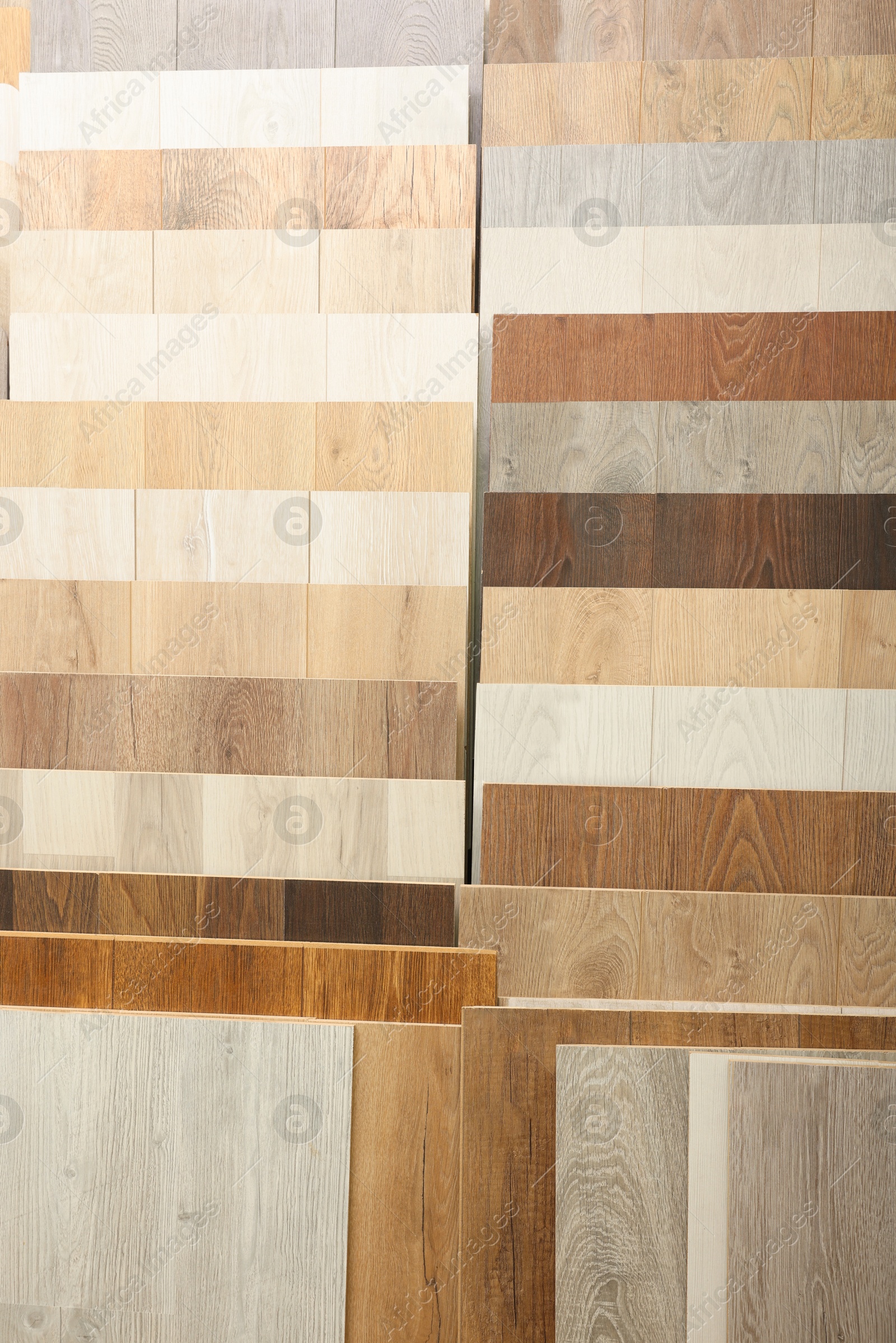 Photo of Many different samples of wooden flooring in store, closeup