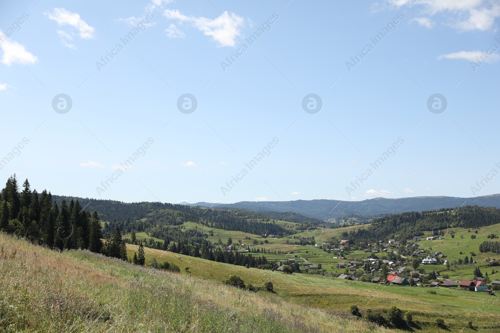 Photo of Picturesque view of houses and forest in mountains under blue sky