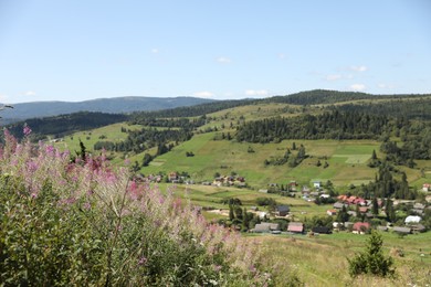 Photo of Picturesque view of houses and forest in mountains under blue sky