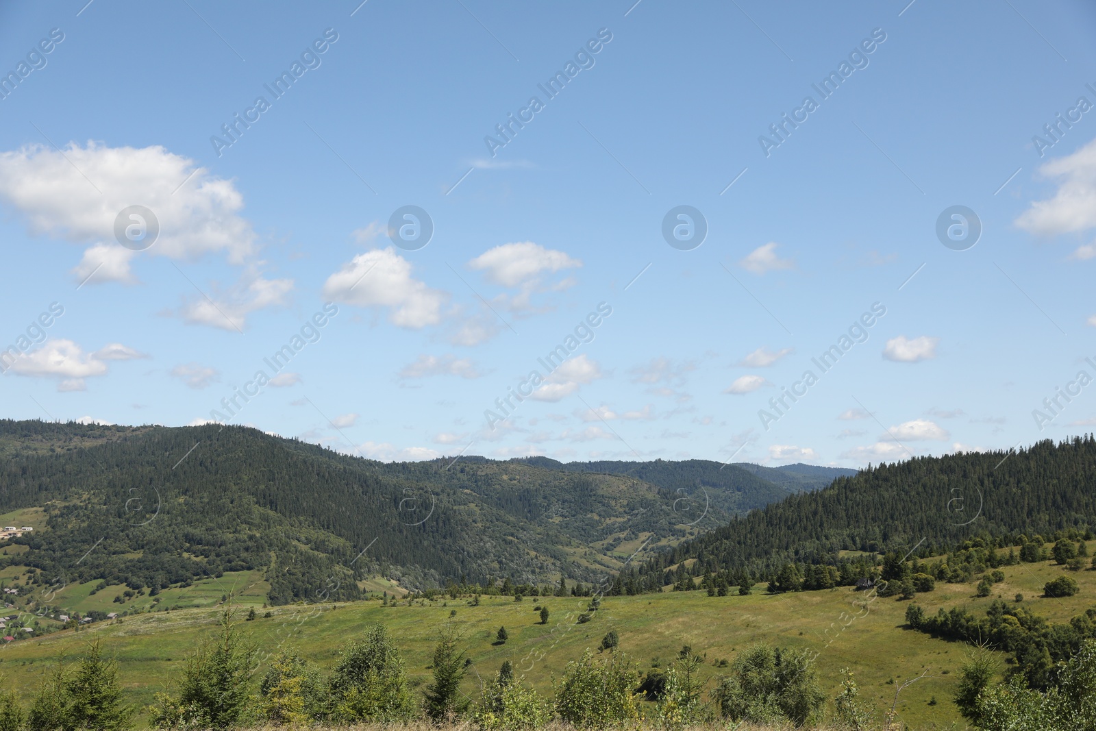 Photo of Green forest in mountains under blue sky