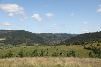 Photo of Green forest in mountains under blue sky