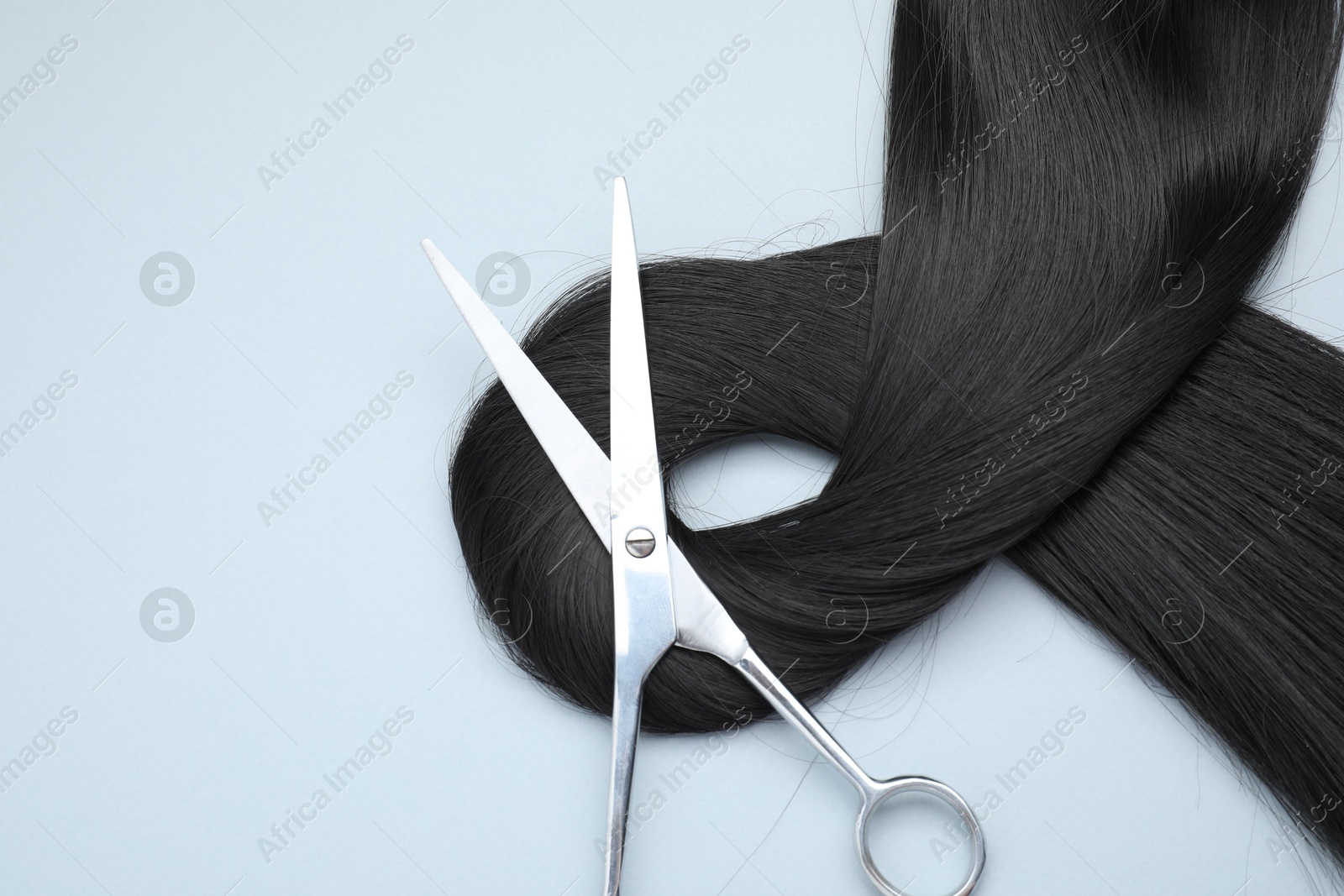 Photo of Black hair strand and professional scissors on light grey background, top view