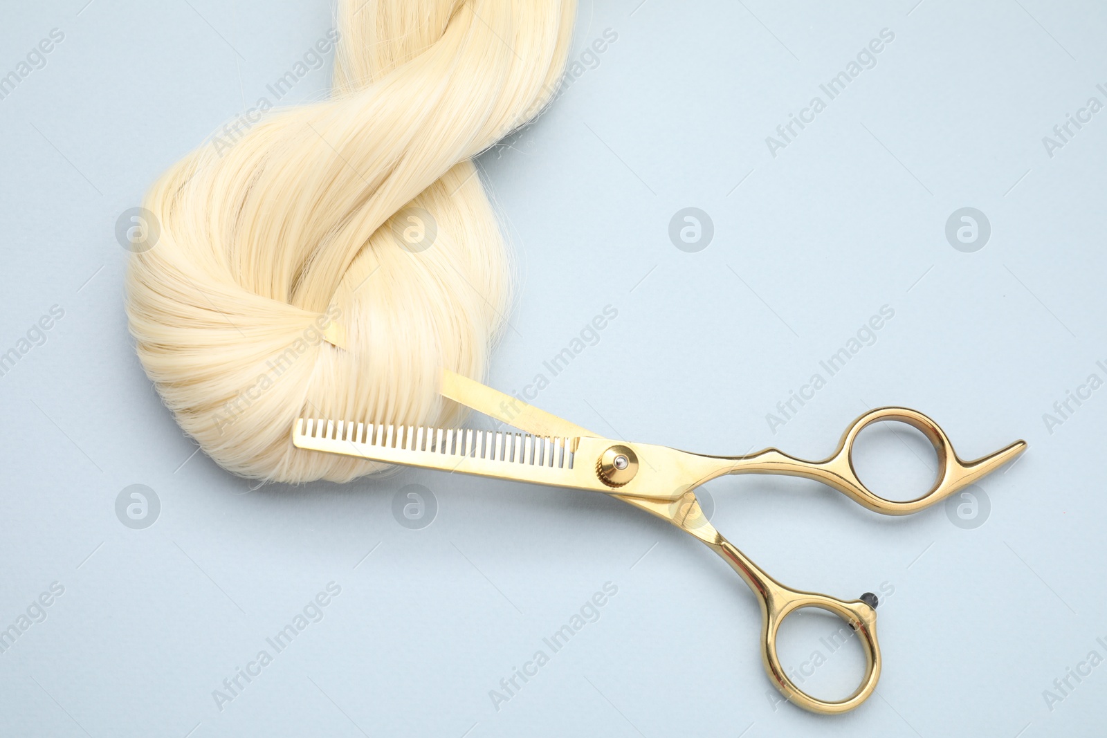 Photo of Blonde hair strand and professional scissors on light grey background, top view