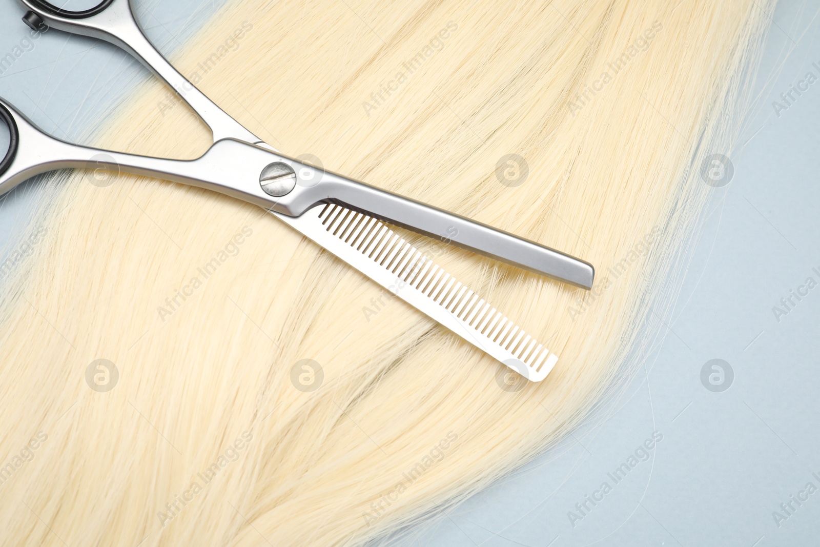 Photo of Blonde hair strand and professional scissors on light grey background, top view