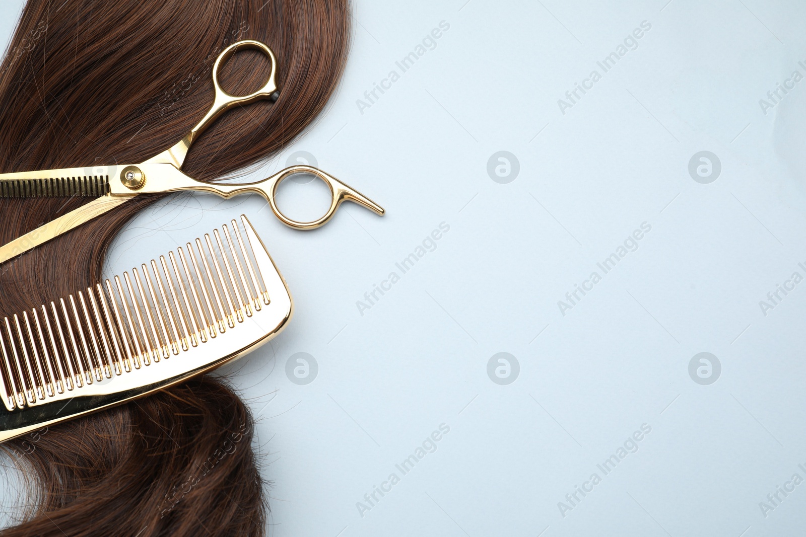 Photo of Brown hair strand, comb and professional scissors on light grey background, top view. Space for text