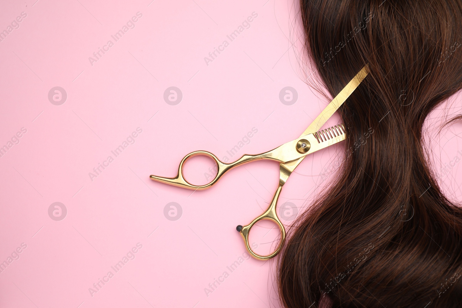 Photo of Brown hair strand and professional scissors on pink background, top view