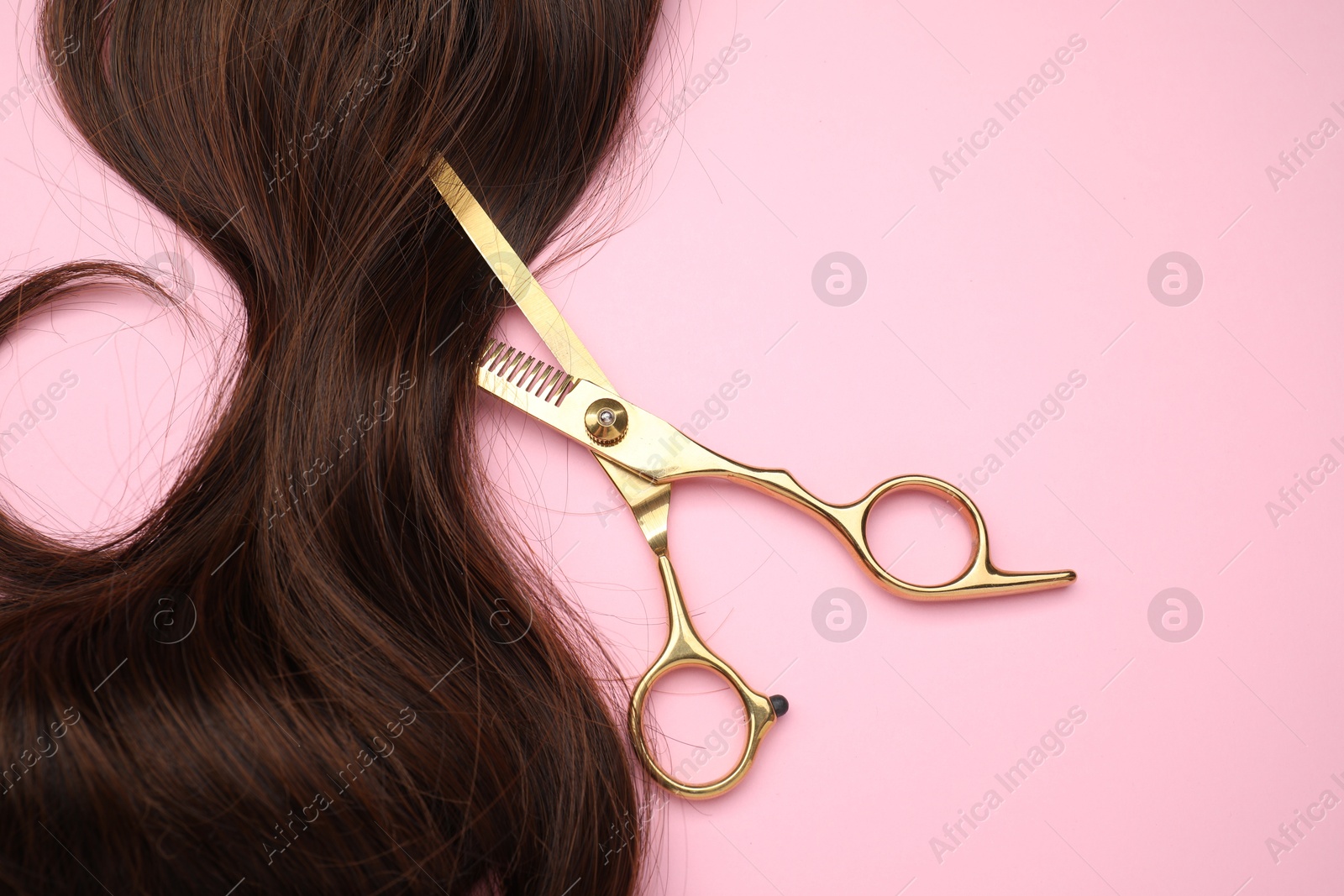 Photo of Brown hair strand and professional scissors on pink background, top view