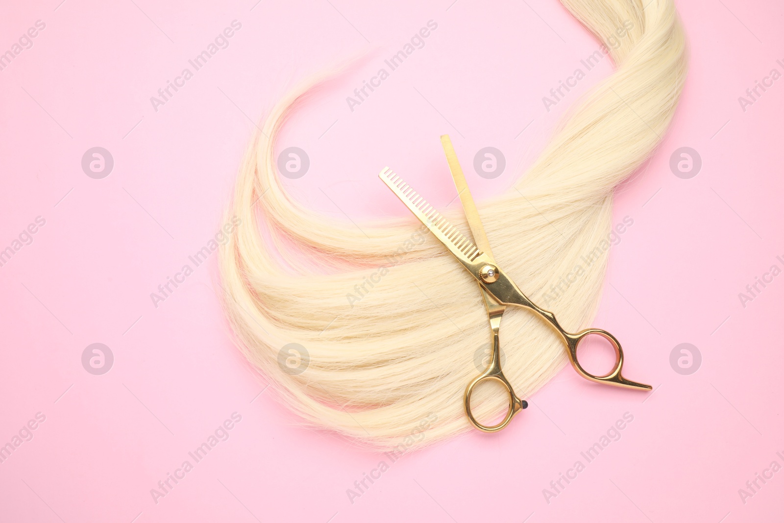 Photo of Blonde hair strand and professional scissors on pink background, top view