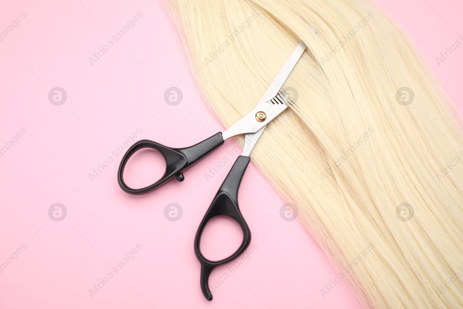 Photo of Blonde hair strand and professional scissors on pink background, top view