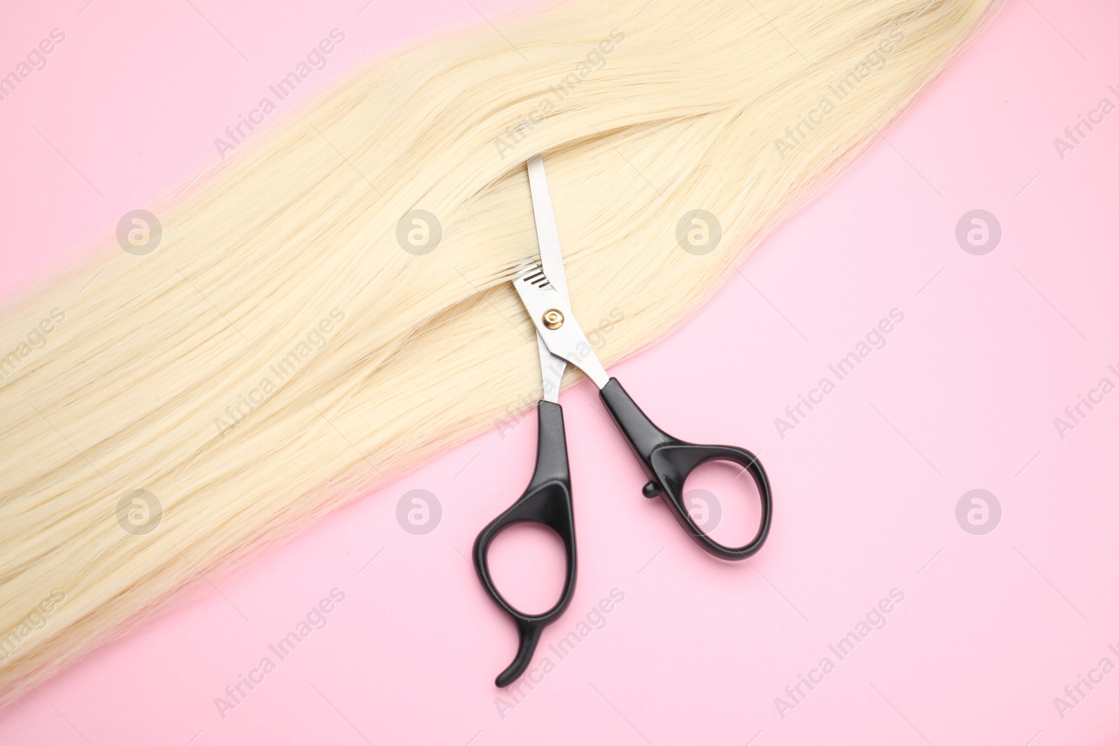 Photo of Blonde hair strand and professional scissors on pink background, top view