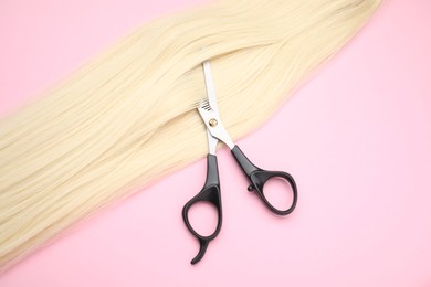 Blonde hair strand and professional scissors on pink background, top view