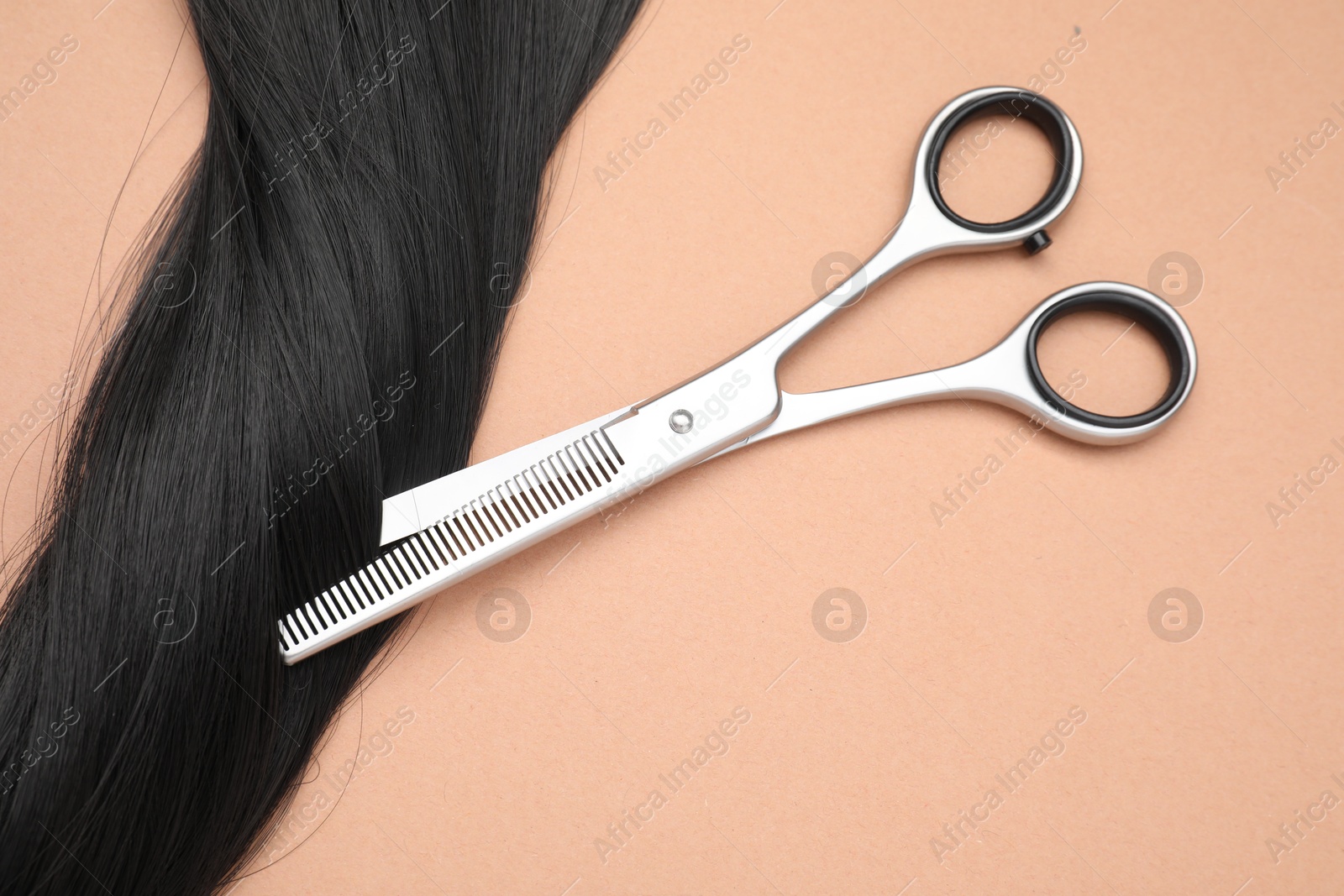 Photo of Black hair strand and professional scissors on pale coral background, top view