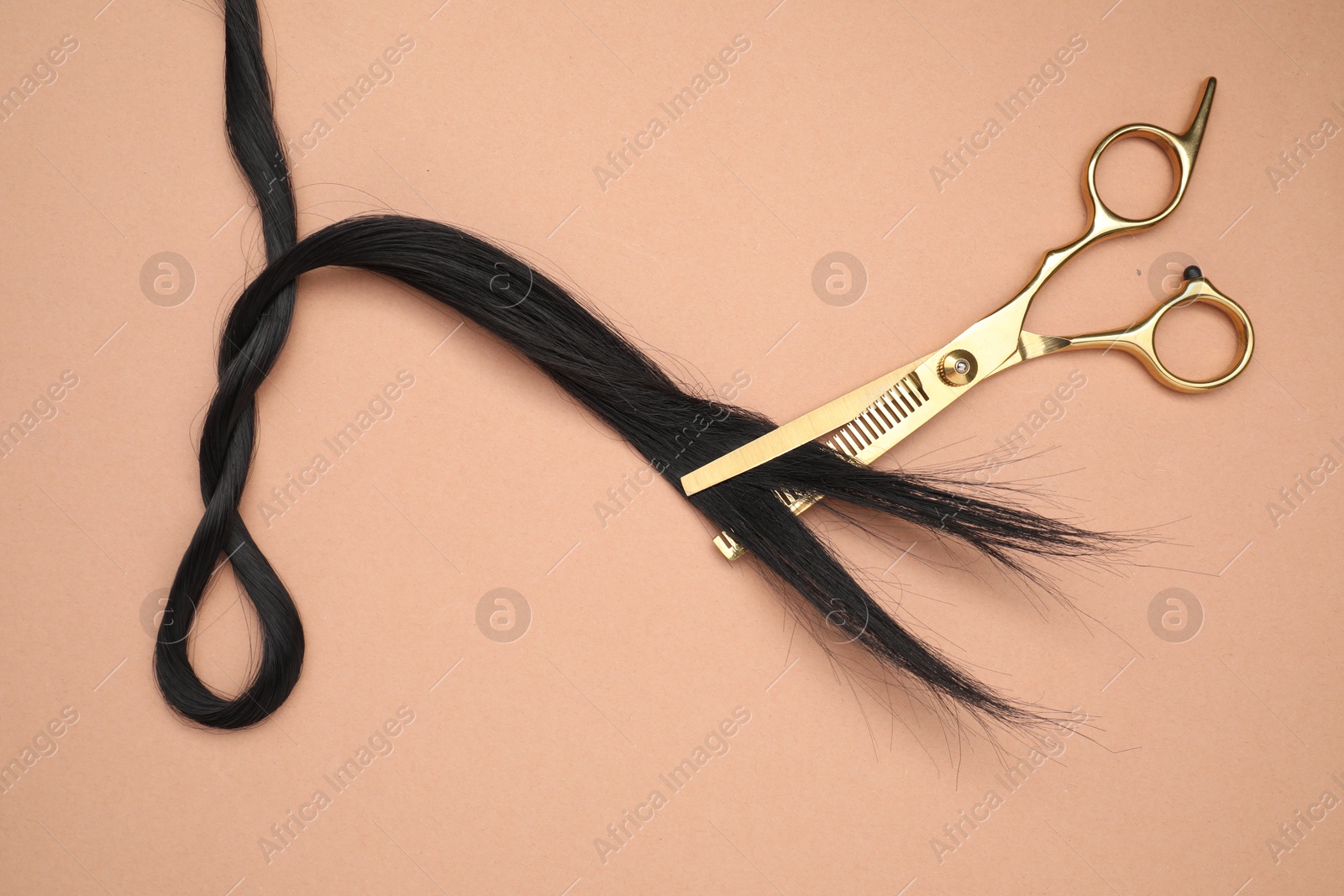 Photo of Black hair strand and professional scissors on pale coral background, top view