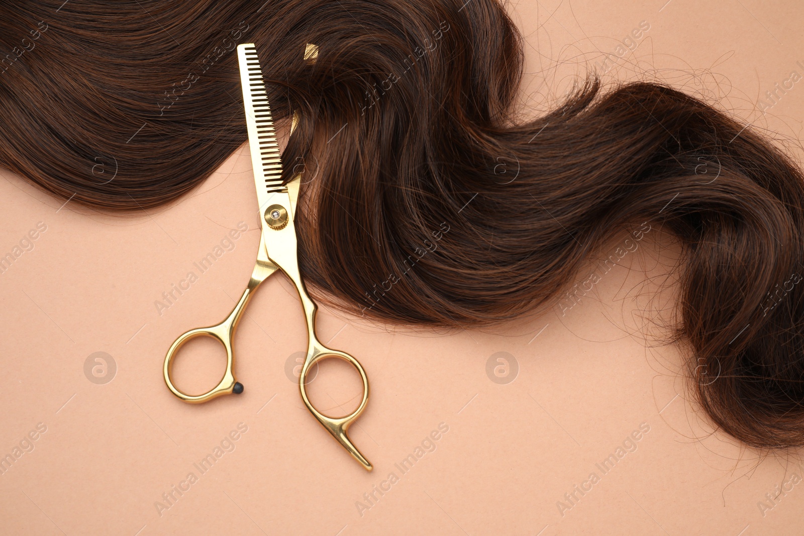 Photo of Brown hair strand and professional scissors on pale coral background, top view