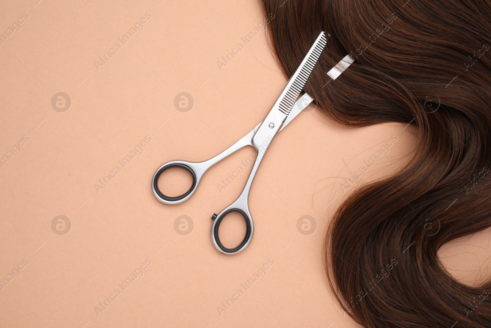 Photo of Brown hair strand and professional scissors on pale coral background, top view