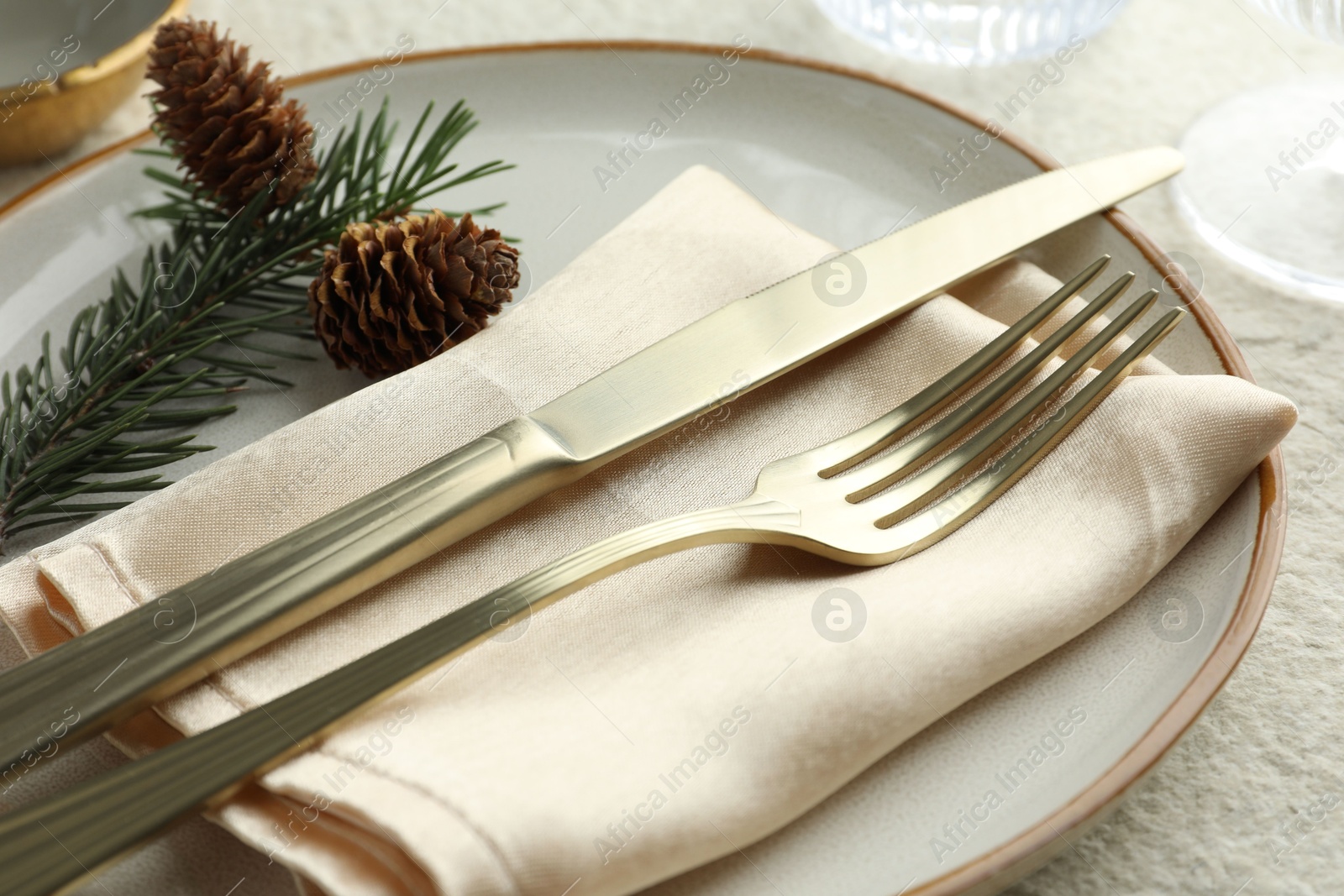 Photo of Christmas table setting with plate, cutlery, fir branches and cones, closeup