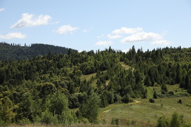 Photo of Green forest in mountains under blue sky