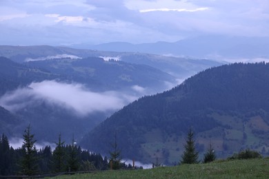 Photo of Picturesque view of beautiful mountains covered with fog