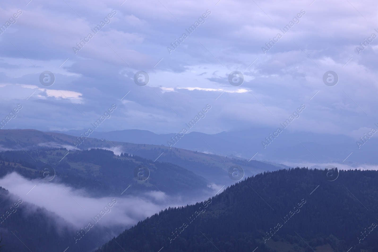 Photo of Picturesque view of beautiful mountains covered with fog