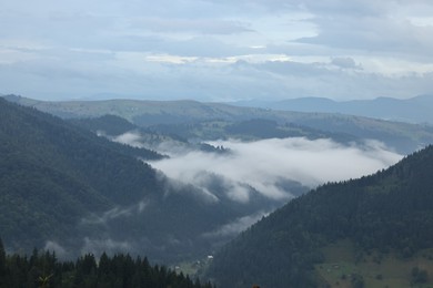 Photo of Picturesque view of beautiful mountains covered with fog