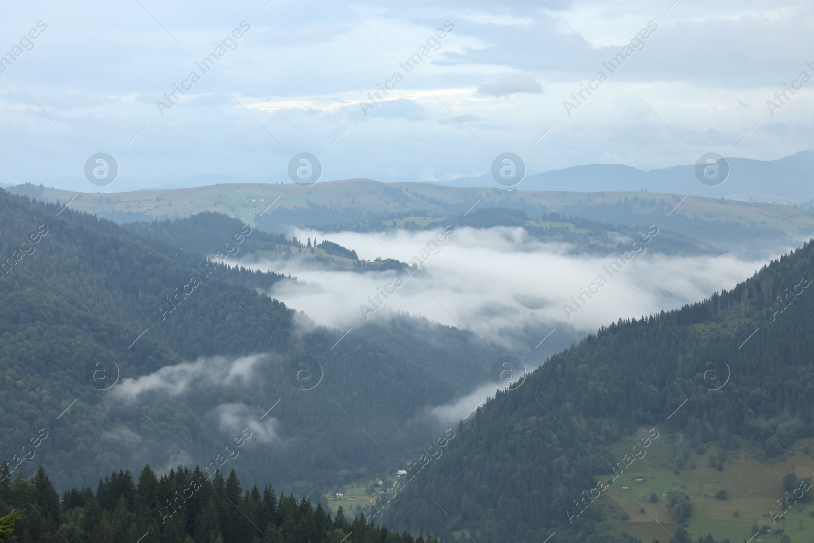 Photo of Picturesque view of beautiful mountains covered with fog