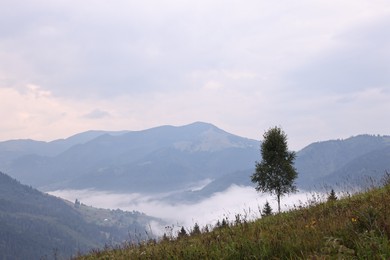 Photo of Picturesque view of beautiful mountains covered with fog