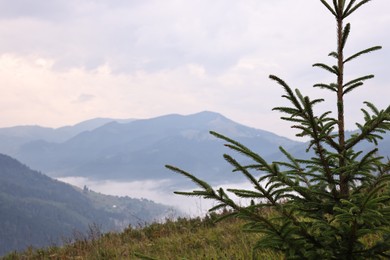 Photo of Picturesque view of beautiful mountains covered with fog