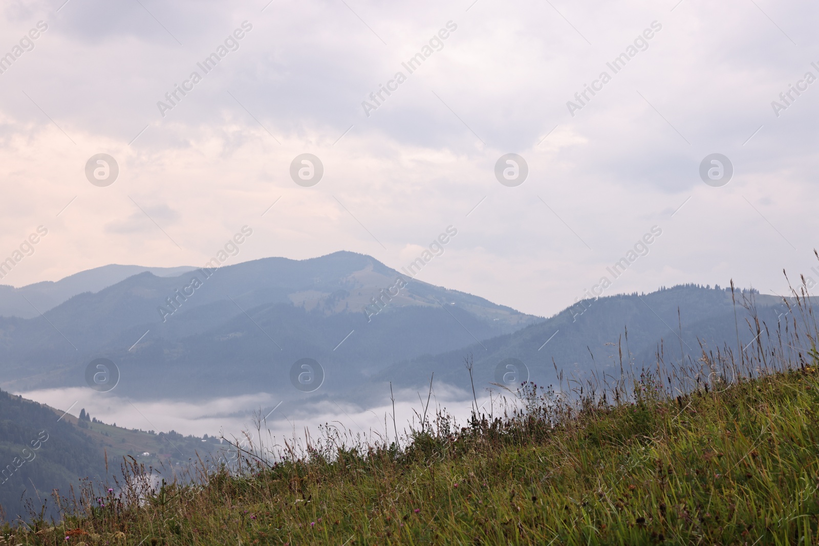 Photo of Picturesque view of beautiful mountains covered with fog