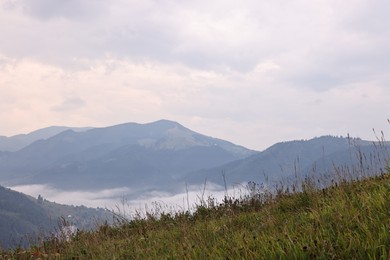 Photo of Picturesque view of beautiful mountains covered with fog