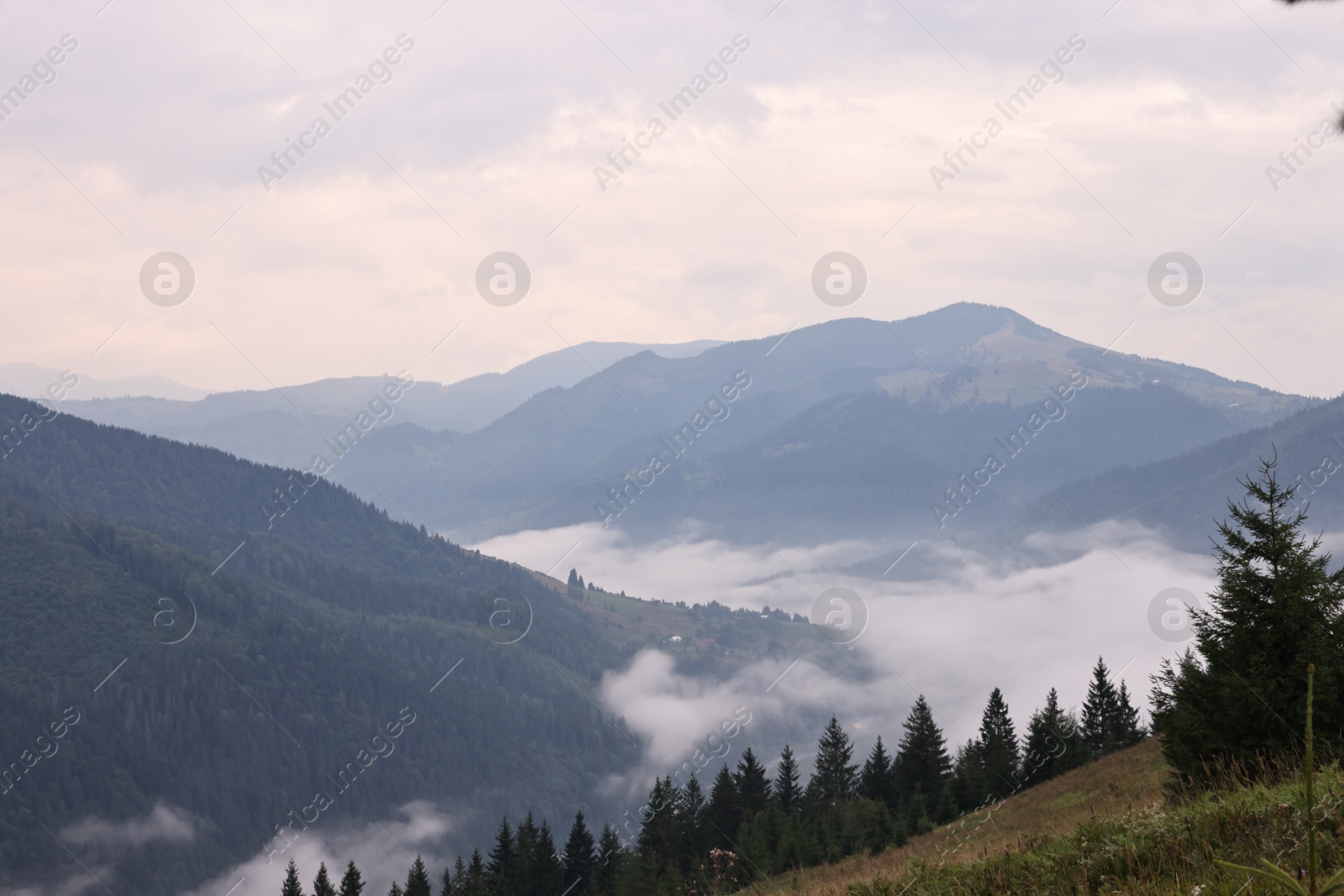 Photo of Picturesque view of beautiful mountains covered with fog