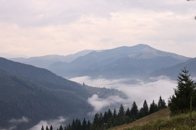 Photo of Picturesque view of beautiful mountains covered with fog