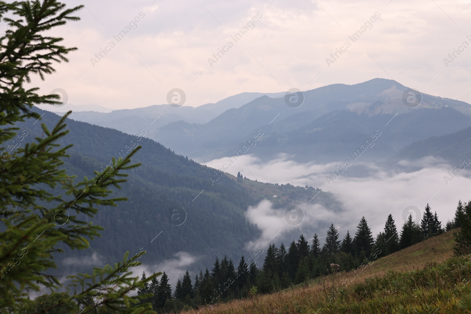 Photo of Picturesque view of beautiful mountains covered with fog