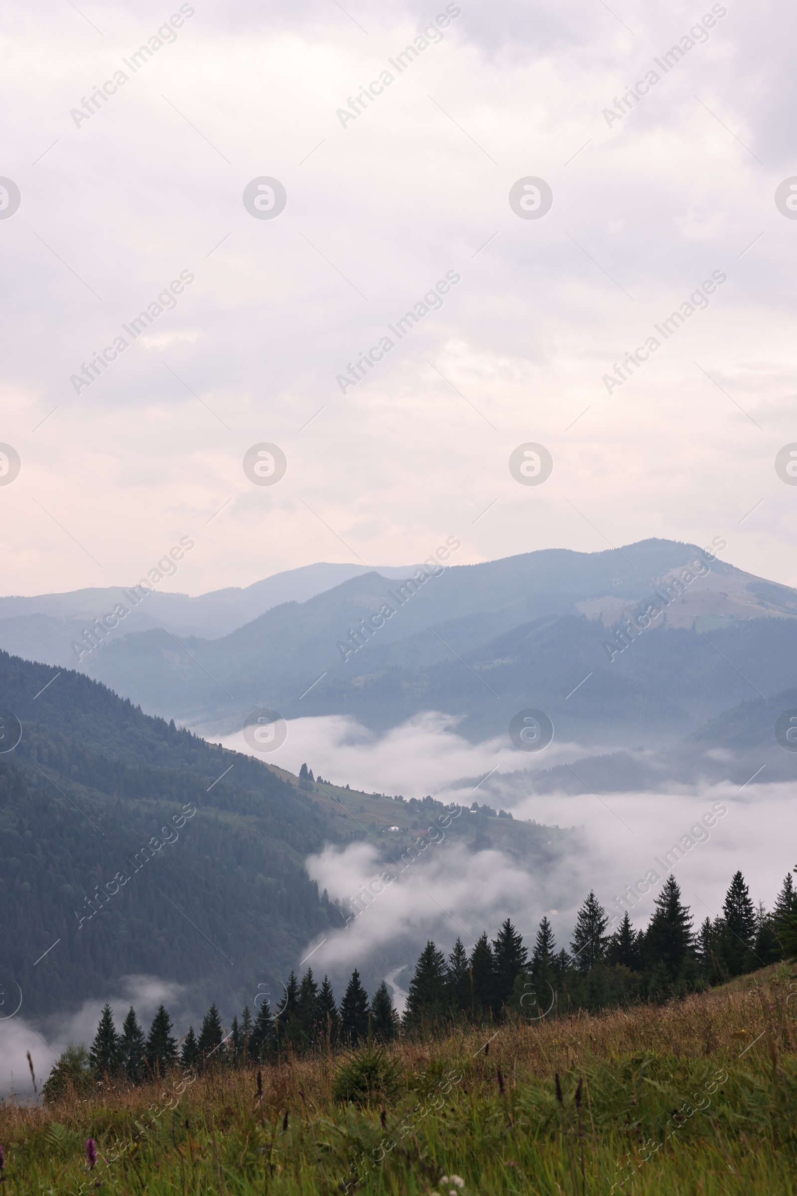 Photo of Picturesque view of beautiful mountains covered with fog