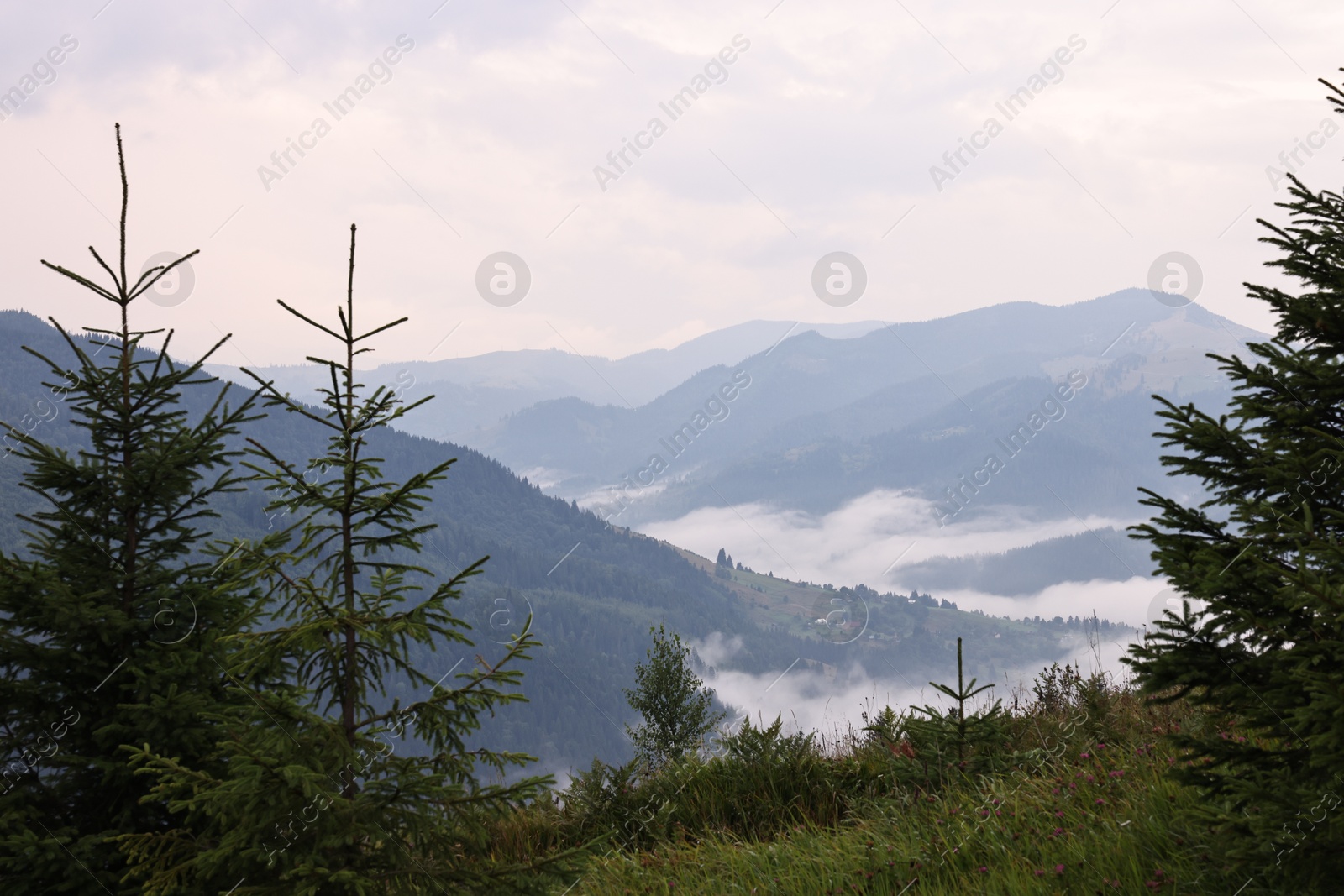 Photo of Picturesque view of beautiful mountains covered with fog