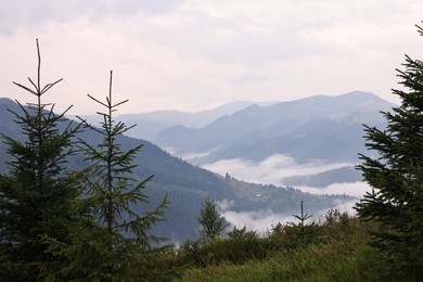 Photo of Picturesque view of beautiful mountains covered with fog