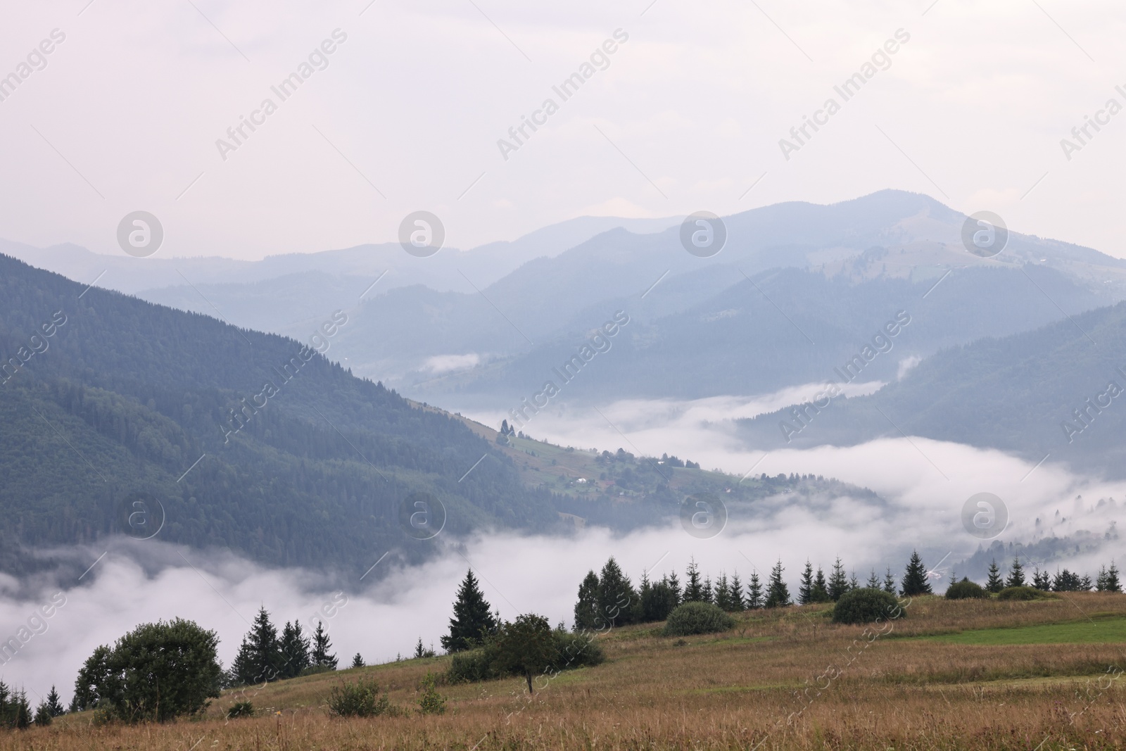 Photo of Picturesque view of beautiful mountains covered with fog