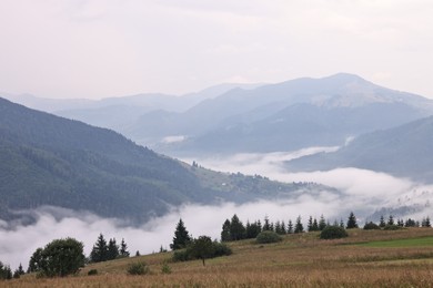 Picturesque view of beautiful mountains covered with fog