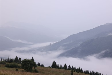 Picturesque view of beautiful mountains covered with fog