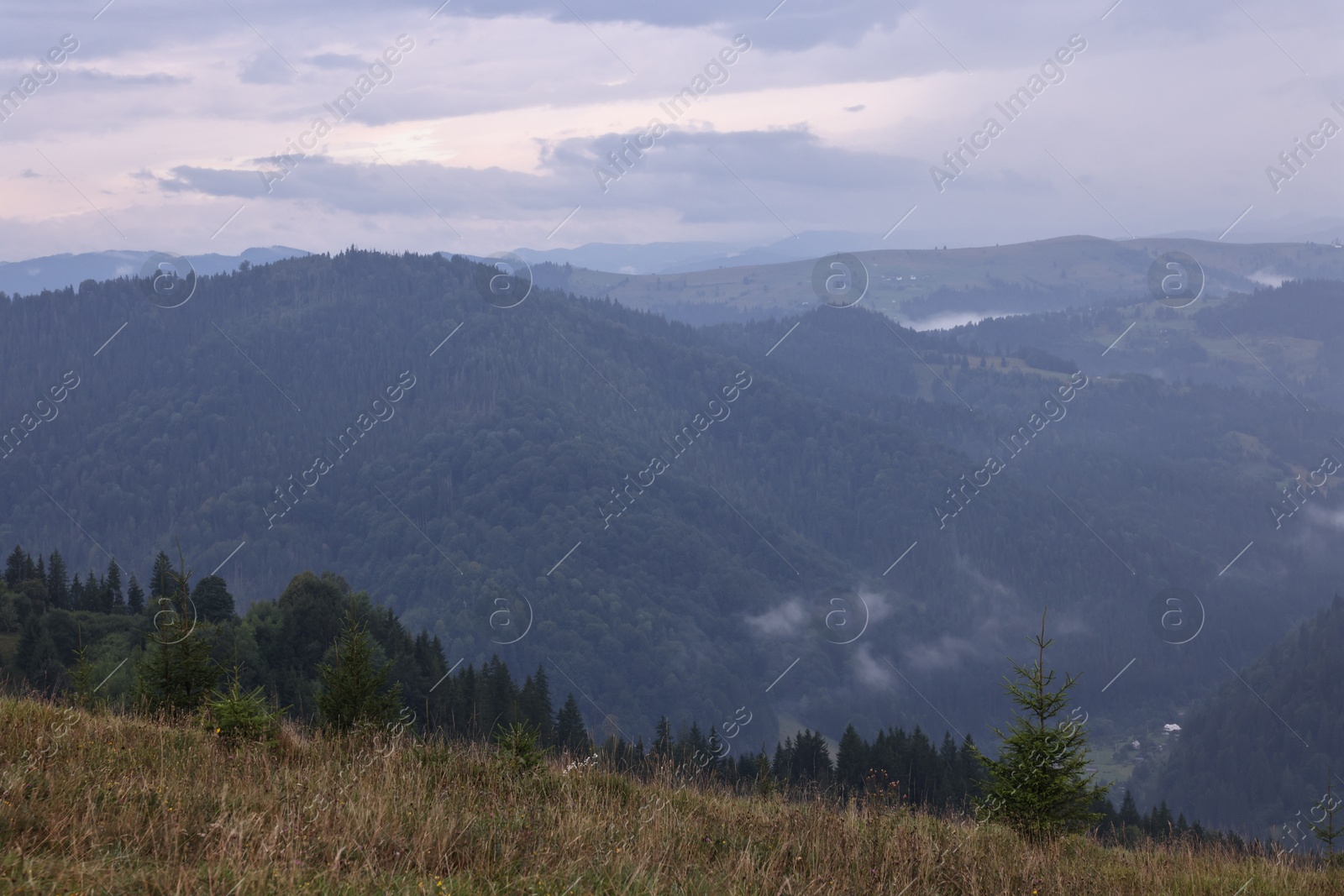 Photo of Picturesque view of beautiful mountains covered with fog