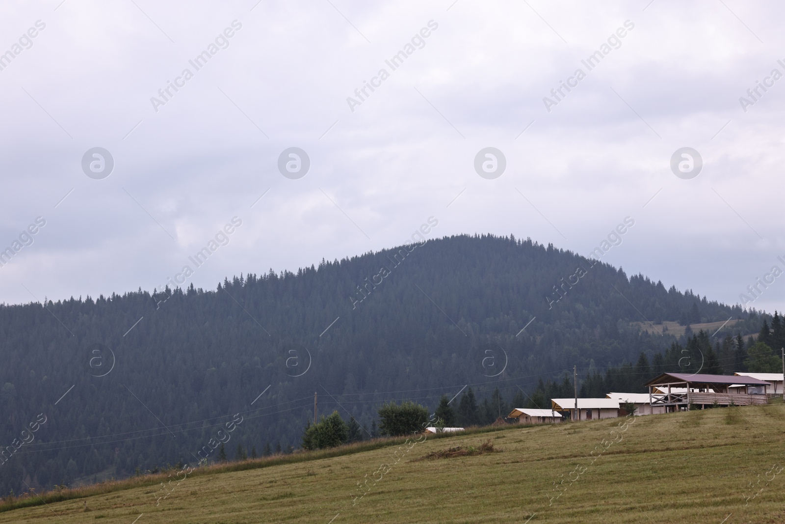 Photo of Picturesque view of beautiful mountains covered with fog