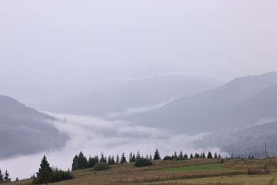 Photo of Picturesque view of beautiful mountains covered with fog