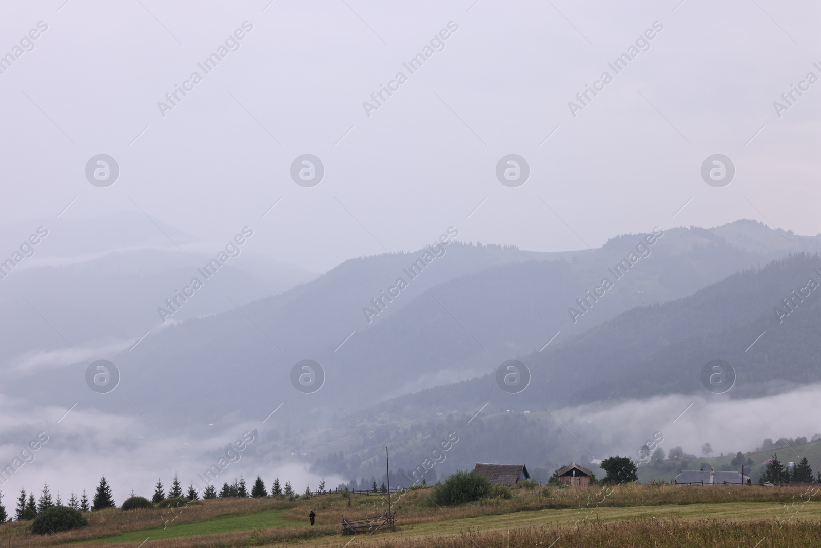 Photo of Picturesque view of beautiful mountains covered with fog