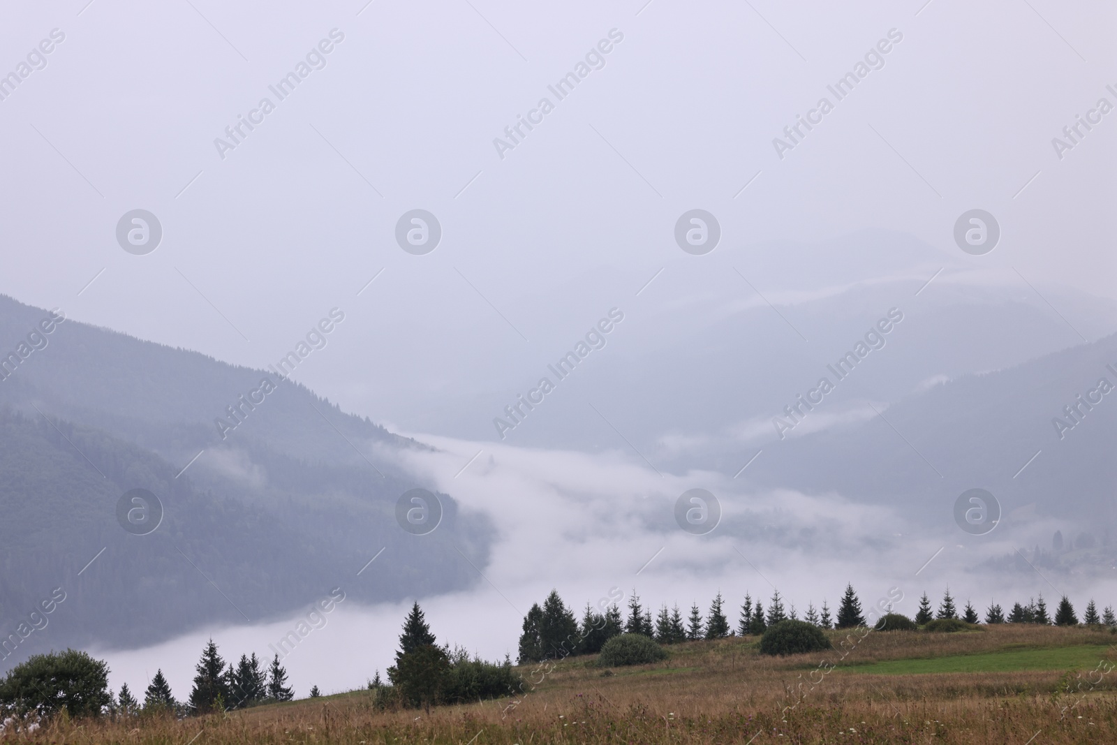 Photo of Picturesque view of beautiful mountains covered with fog